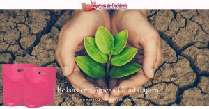 bolsas ecologicas guadalajara